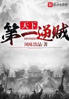 天下第一贼