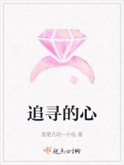 追寻的歌词