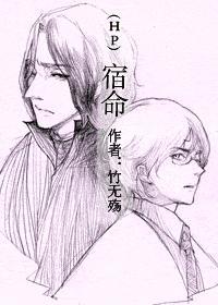 hp宿命竹无殇
