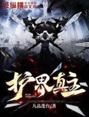 护界真主 九品莲台