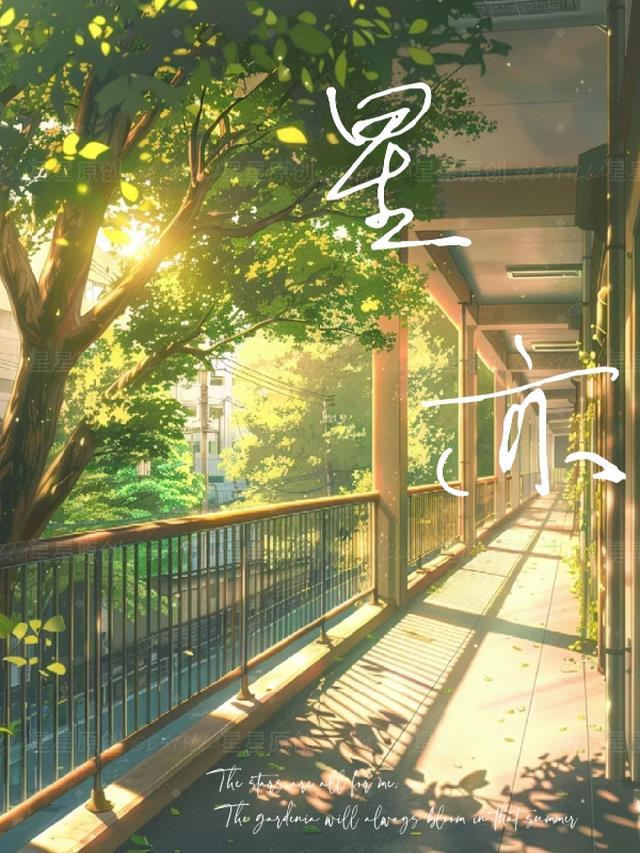 星亦传媒有限公司