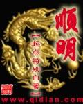 大明铁卫
