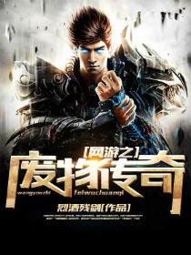网游之废物传奇全本八零电子书