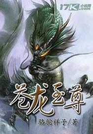 龙皇至尊动漫免费观看高清