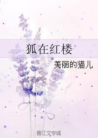 红楼之狐狸精