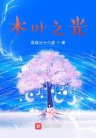 木叶之影