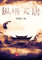 纵横天唐 好看吗