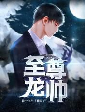 至尊龙帅金浩沈婉莹免费阅读