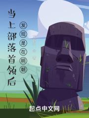 做过部落首领又做过国王的是