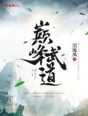 巅峰武道TXT