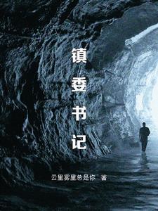 棉湖镇委书记