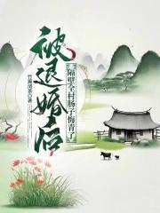我嫁给了隔壁大佬