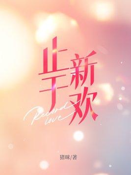 止于爱意