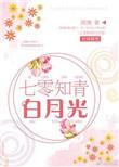 七零知青白月光作者是谁