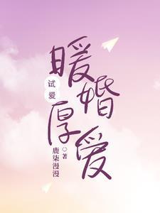 暧婚厚爱目录