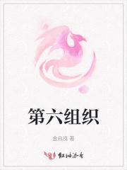 第六组用英文怎么说