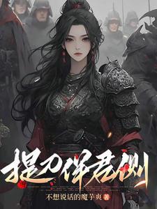 提刀看刺灯全本网