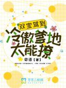 双宝来袭
