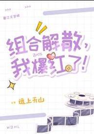 组合解散后我爆红了作者油盐不进