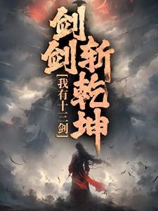 13把剑