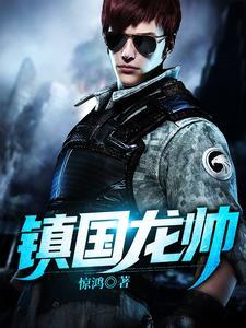 镇国龙帅在线观看