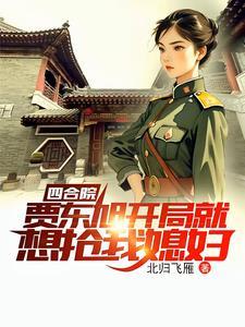 穿越四合院的完本
