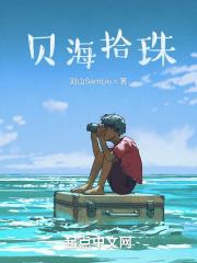 贝海拾珠作品集图片