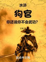你还说你不会武功?txt