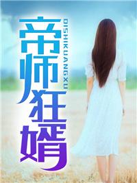 叶辰夏倾城