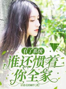 真的有系统