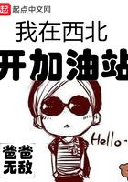 我在西北开加油站讲了什么
