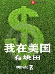 我在美国有块田 檐流