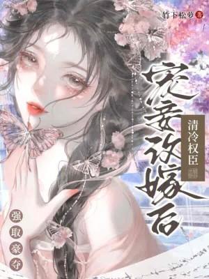 宠妾(穿书)清风不换