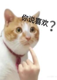 我爱不起了
