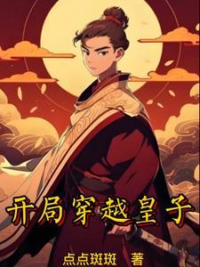 圣朝皇子叶晨阅读