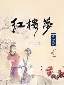 红楼梦白话版书