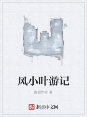小叶小风心路