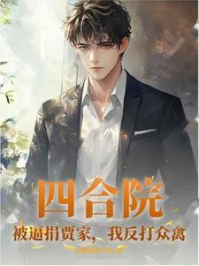四合院之贾