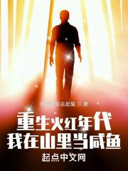 重生火红年代我在山里当咸鱼类似的大全