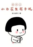 星际小白连不上网怎么办