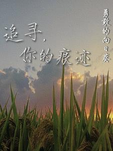 追寻你的轨迹wow