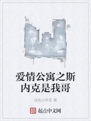 爱情公寓顶楼大平层