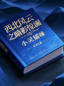 西北风云电影在线观看