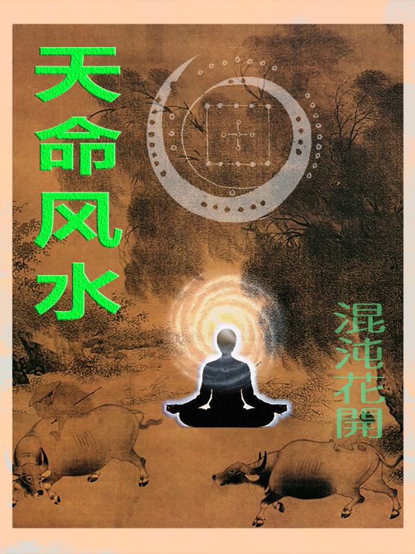 天命风水相师乞儿免费阅读