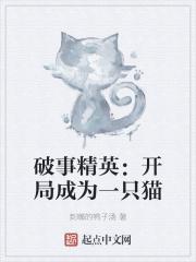 破事精英开机