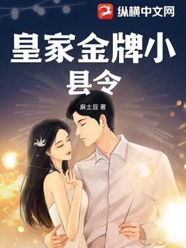 皇家金牌县令TXT免费