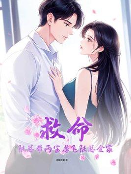 陆总的二婚