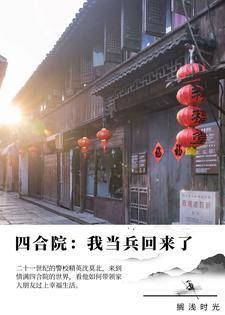 四合院我当兵回来了笔趣阁