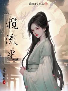 揽流光三千电视剧上映了吗