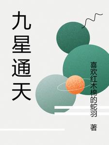 九天星主